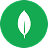 MongoDB icon