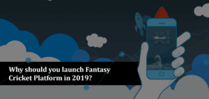Why should you launch Fantasy Cricket Platform before 2019?