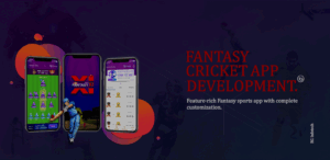 Acquire RG Infotech’s Fantasy Cricket App Development to Boost up your Sports business in 2019!