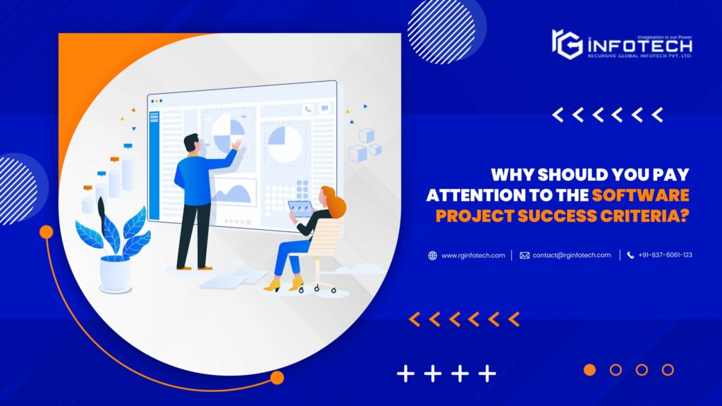 Why Should You Pay Attention To The Software Project Success Criteria?