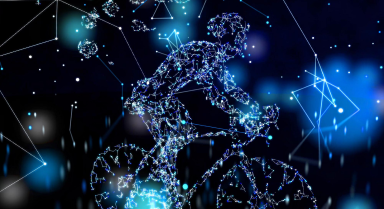 Blockchain Fantasy Sports