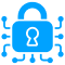 Data Encryption & Privacy Protection