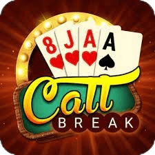 BigCash Call Break